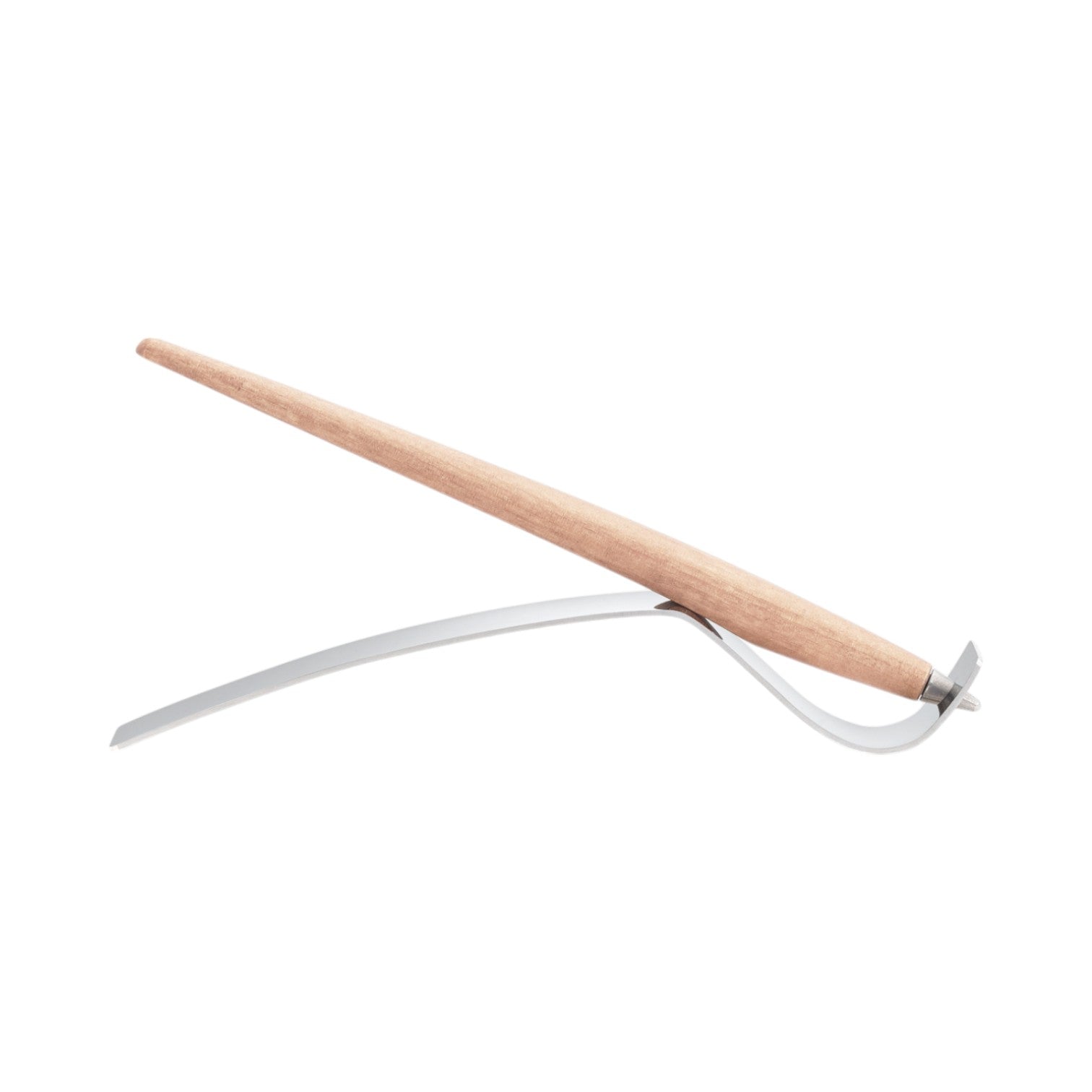 Forever Piuma - Inkless Pen