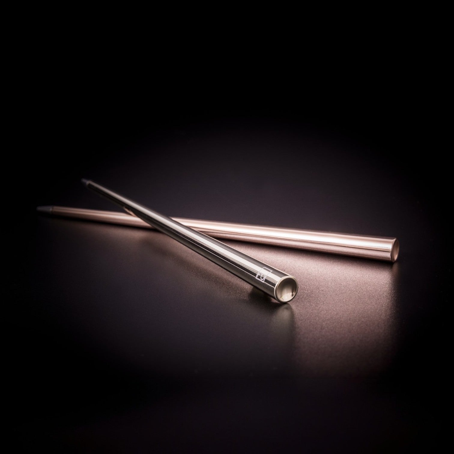 Forever Prima - Inkless Pen