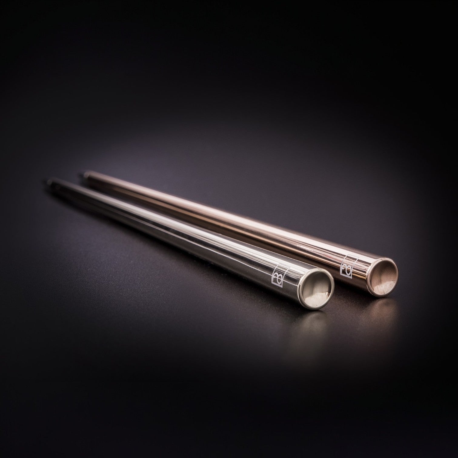 Forever Prima - Inkless Pen